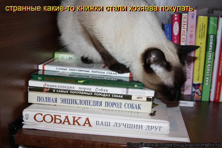 странные какие-то книжки стали хозяева покупать странные какие-то книжки стали хозяева покупать стран... Котоматрица: странные какие-то книжки стали хозяева покупать странные какие-то книжки стали хозяева покупать странные какие-то книжки стали хозяева по