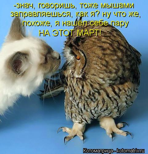 Котоматрица: -знач, говоришь, тоже мышами заправляешься, как я? ну что же,  похоже, я нашёл себе пару НА ЭТОТ МАРТ!
