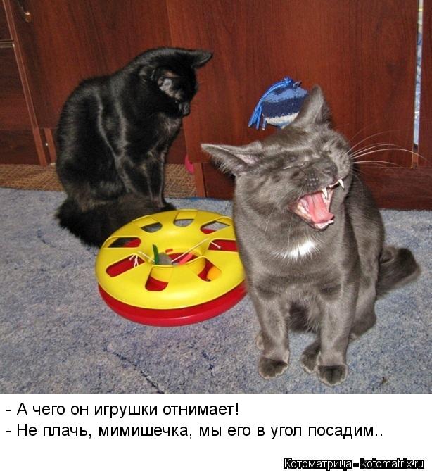 - А чего он игрушки отнимает! - Не плачь, мимишечка, мы его в угол посадим..... Котоматрица: - А чего он игрушки отнимает! - Не плачь, мимишечка, мы его в угол посадим..