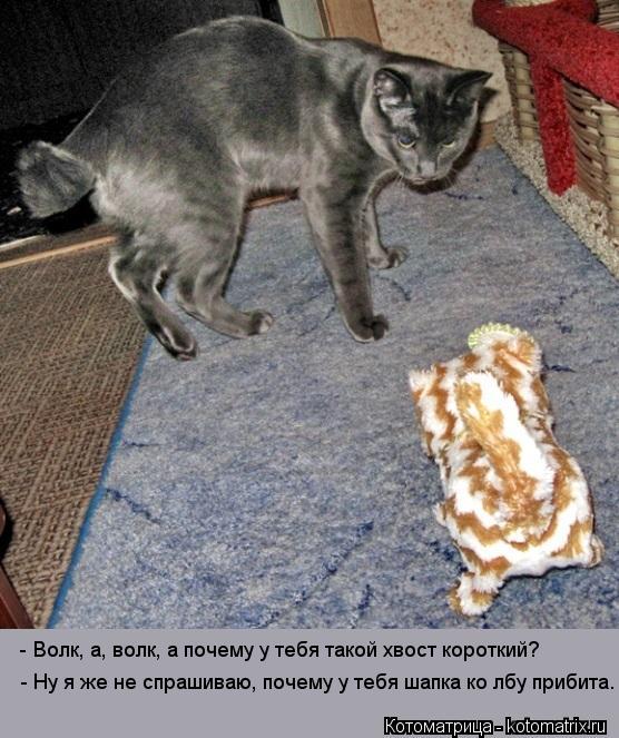 - Волк, а, волк, а почему у тебя такой хвост короткий? - Ну я же не спрашиваю, почему у тебя шапка ко... Котоматрица: - Волк, а, волк, а почему у тебя такой хвост короткий? - Ну я же не спрашиваю, почему у тебя шапка ко лбу прибита.