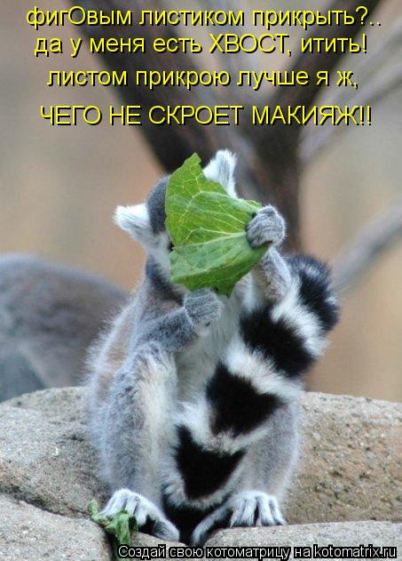 Котоматрица: фигОвым листиком прикрыть?.. да у меня есть ХВОСТ, итить! листом прикрою лучше я ж,  ЧЕГО НЕ СКРОЕТ МАКИЯЖ!!