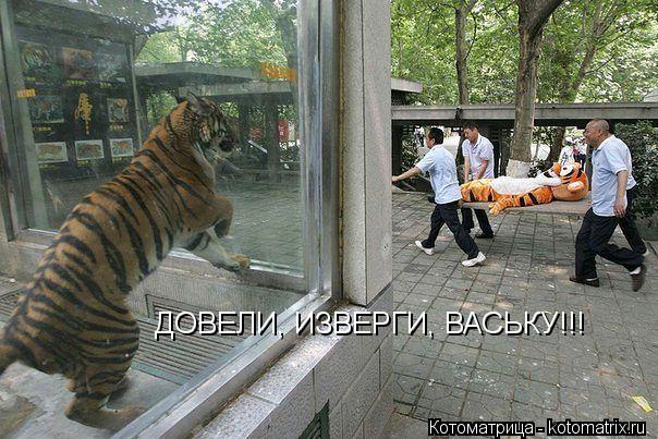 Котоматрица: ДОВЕЛИ, ИЗВЕРГИ, ВАСЬКУ!!!