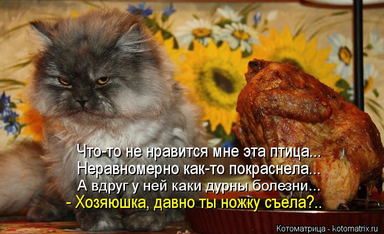 Котоматрица: Неравномерно как-то покраснела... А вдруг у ней каки дурны болезни... - Хозяюшка, давно ты ножку съела?.. Что-то не нравится мне эта птица...
