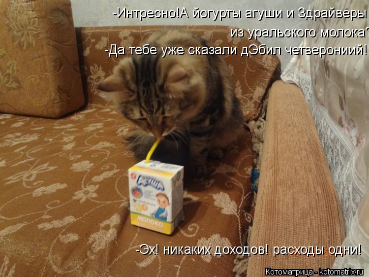 Котоматрица: -Интресно!А йогурты агуши и Здрайверы из уральского молока?-Да тебе уде сказали дЭбил четверониий! -Эх! никаких доходов! расходы одни!  из ура