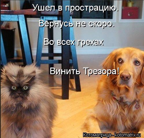 Ушел в прострацию. Вернусь не скоро. Во всех грехах Винить Трезора!... Котоматрица: Ушел в прострацию. Вернусь не скоро. Во всех грехах Винить Трезора!