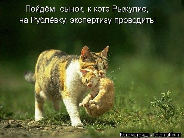 Пойдём, сынок, к котэ Рыжулио, на Рублёвку, экспертизу проводить!... Котоматрица: Пойдём, сынок, к котэ Рыжулио, на Рублёвку, экспертизу проводить!