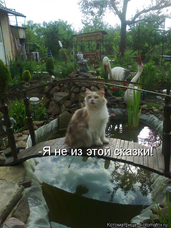 Котоматрица: -Я не из этой сказки!