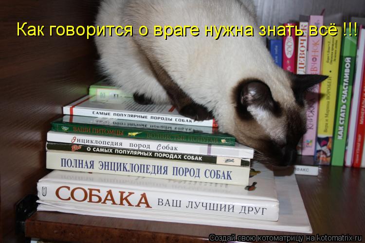 Котоматрица: Как говорится о враге нужна знать всё !!!