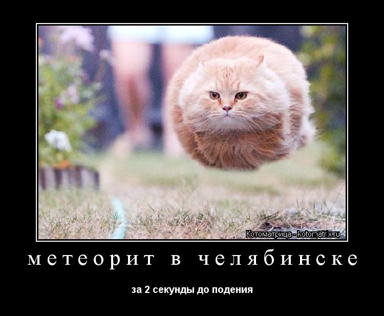 метеорит в челябинске за 2 секунды до подения... Котоматрица: метеорит в челябинске за 2 секунды до подения