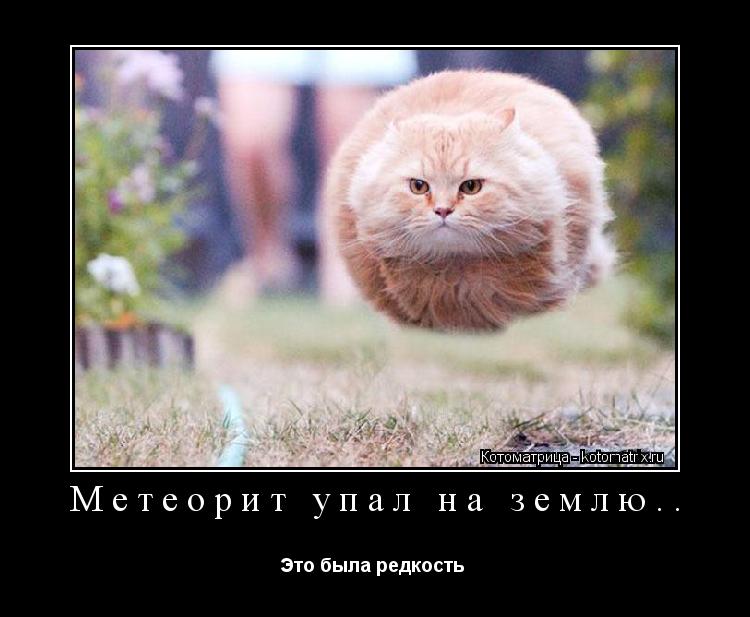 Метеорит упал на землю.. Это была редкость ... Котоматрица: Метеорит упал на землю.. Это была редкость
