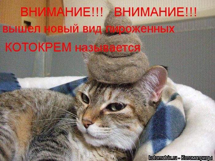 вышел новый вид пироженных ВНИМАНИЕ!!! ВНИМАНИЕ!!! КОТОКРЕМ называется... Котоматрица: вышел новый вид пироженных ВНИМАНИЕ!!! ВНИМАНИЕ!!! КОТОКРЕМ называется