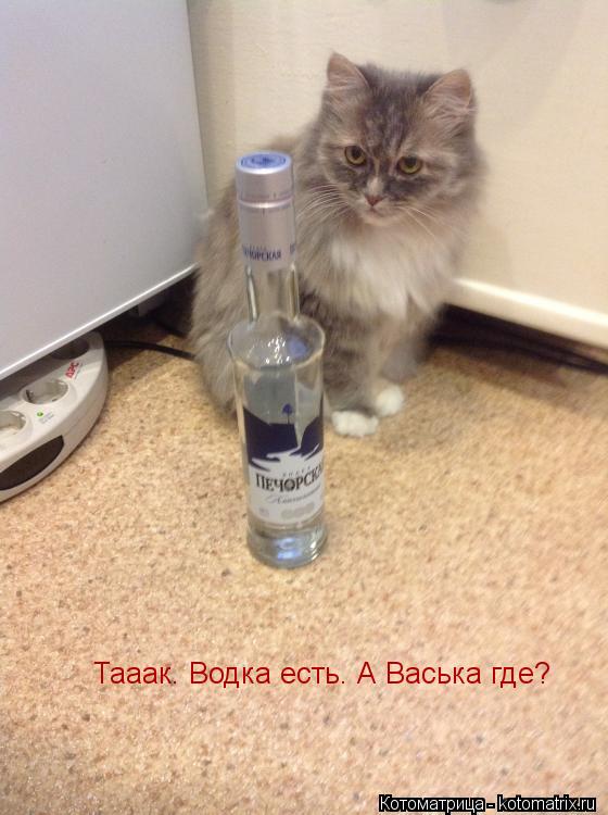 Тааак. Водка есть. А Васька где?... Котоматрица: Тааак. Водка есть. А Васька где?