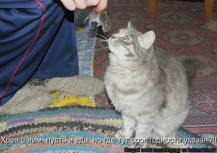Хрен с ним, пусть и еда, но где тут срок годности указан?!!... Котоматрица: Хрен с ним, пусть и еда, но где тут срок годности указан?!!