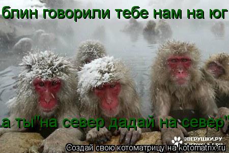 блин говорили тебе нам на юг а ты"на север дадай на север"... Котоматрица: блин говорили тебе нам на юг а ты"на север дадай на север"