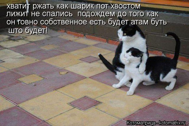 хватит ржать как шарик пот хвостом лижит не спались подождем до того как он говно собственное есть ... Котоматрица: хватит ржать как шарик пот хвостом лижит не спались подождем до того как он говно собственное есть будет атам буть што будет!