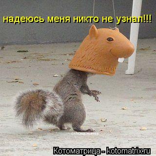 надеюсь меня никто не узнал!!!... Котоматрица: надеюсь меня никто не узнал!!!