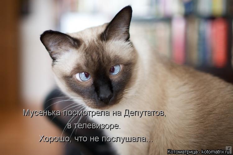 Мусенька посмотрела на Депутатов, в телевизоре. Хорошо, что не послушала...... Котоматрица: Мусенька посмотрела на Депутатов, в телевизоре. Хорошо, что не послушала...