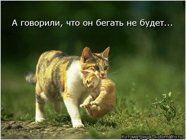 А говорили, что он бегать не будет...... Котоматрица: А говорили, что он бегать не будет...