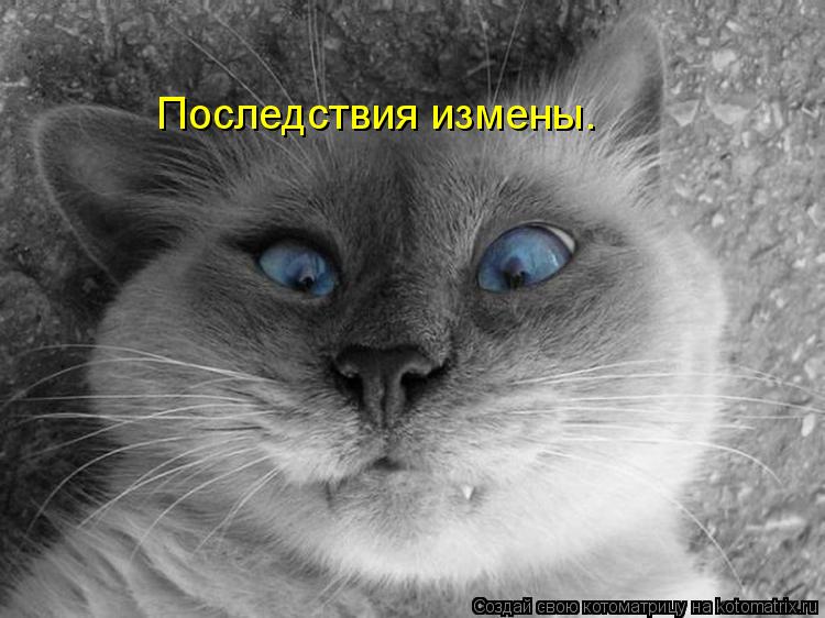 Последствия измены.... Котоматрица: Последствия измены.
