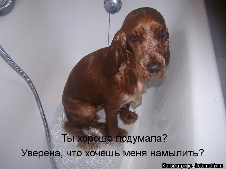 Ты хорошо подумала? Уверена, что хочешь меня намылить?... Котоматрица: Ты хорошо подумала? Уверена, что хочешь меня намылить?