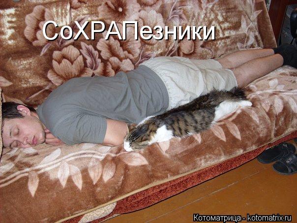 Котоматрица: СоХРАПезники