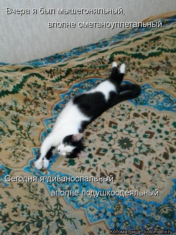 Вчера я был мышегоняльный, вполне сметаноуплетальный . Сегодня я диваноспальный вполне подушкоодеяль... Котоматрица: Вчера я был мышегоняльный, вполне сметаноуплетальный . Сегодня я диваноспальный вполне подушкоодеяльный