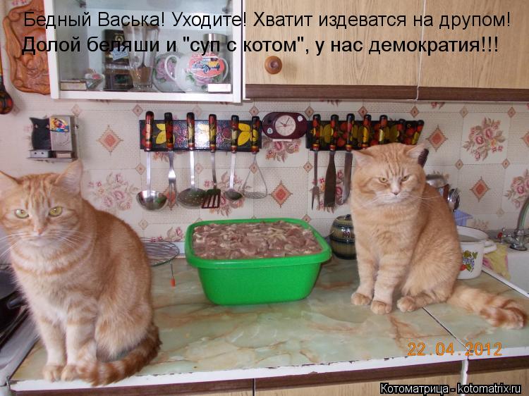 Бедный Васька! Уходите! Хватит издеватся на друпом! Бедный Васька! Уходите! Хватит издеватся на друпо... Котоматрица: Бедный Васька! Уходите! Хватит издеватся на друпом! Бедный Васька! Уходите! Хватит издеватся на друпом! Долой беляши и "суп с котом", у нас дем