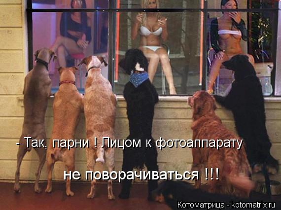 - Так, парни ! Лицом к фотоаппарату не поворачиваться !!!... Котоматрица: - Так, парни ! Лицом к фотоаппарату не поворачиваться !!!