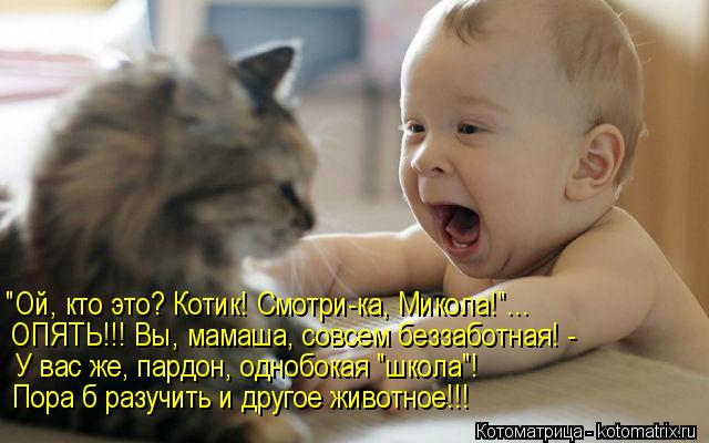 "Ой, кто это? Котик! Смотри-ка, Микола!"... ОПЯТЬ!!! Вы, мамаша, совсем беззаботная! - У вас же, пард... Котоматрица: "Ой, кто это? Котик! Смотри-ка, Микола!"... ОПЯТЬ!!! Вы, мамаша, совсем беззаботная! - У вас же, пардон, однобокая "школа"! Пора б разучить и другое ж
