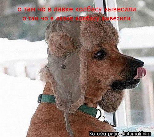 о там чо в лавке колбасу вывесили о там чо в лавке колбасу вывесили... Котоматрица: о там чо в лавке колбасу вывесили о там чо в лавке колбасу вывесили