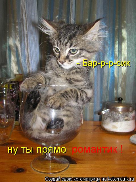 - Бар-р-р-сик ну ты прямо романтик !... Котоматрица: - Бар-р-р-сик ну ты прямо романтик !
