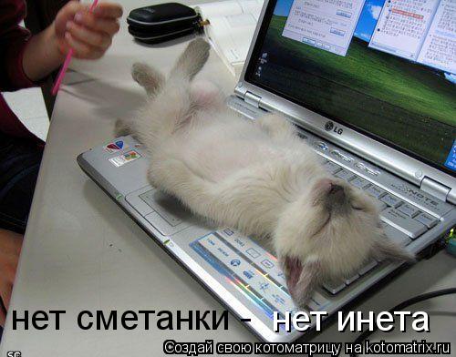 нет сметанки - нет инета... Котоматрица: нет сметанки - нет инета