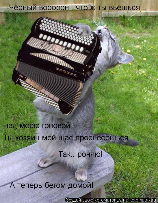 -Чёрный вооорон...что ж ты вьёшься... над моею головой... Ты хозяин мой щас проснеоошься Так...роняю!... Котоматрица: -Чёрный вооорон...что ж ты вьёшься... над моею головой... Ты хозяин мой щас проснеоошься Так...роняю! А теперь-бегом домой!