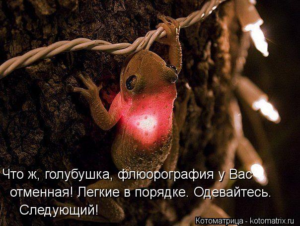Следующий! отменная! Легкие в порядке. Одевайтесь. Что ж, голубушка, флюорография у Вас... Котоматрица: Следующий! отменная! Легкие в порядке. Одевайтесь. Что ж, голубушка, флюорография у Вас
