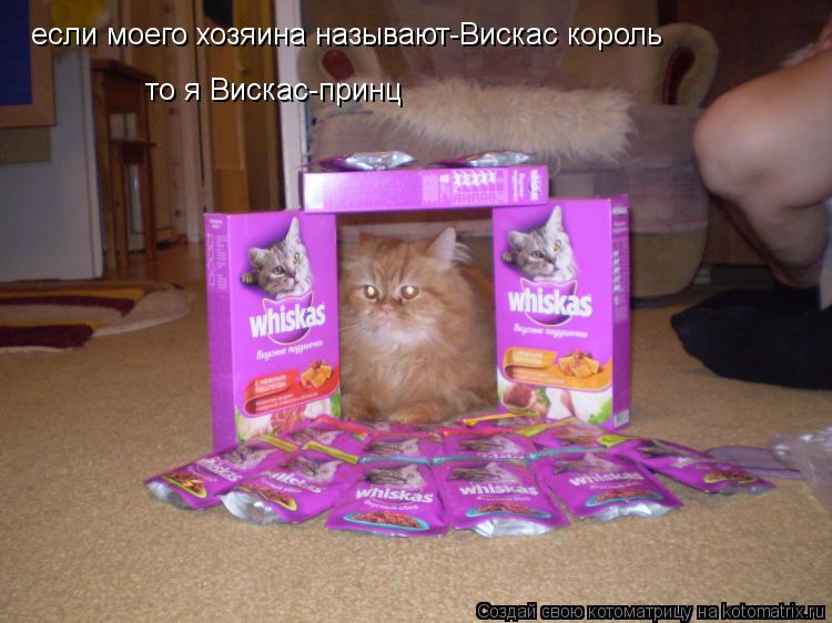 если моего хозяина называют-Вискас король то я Вискас-принц... Котоматрица: если моего хозяина называют-Вискас король то я Вискас-принц