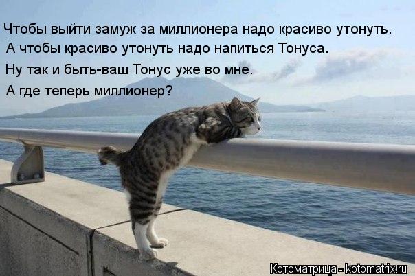 Чтобы выйти замуж за миллионера надо красиво утонуть. А чтобы красиво утонуть надо напиться Тонуса. Н... Котоматрица: Чтобы выйти замуж за миллионера надо красиво утонуть. А чтобы красиво утонуть надо напиться Тонуса. Ну так и быть-ваш Тонус уже во мне. А где