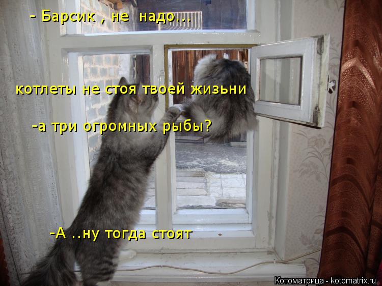 Котоматрица: - Барсик , не  надо... котлеты не стоя твоей жизьни -а три огромных рыбы? -А ..ну тогда стоят
