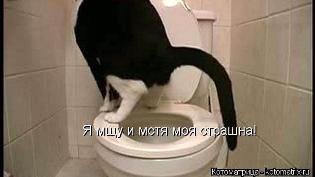 Я мщу и мстя моя страшна!... Котоматрица: Я мщу и мстя моя страшна!