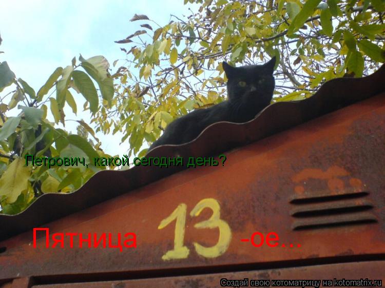 Петрович, какой сегодня день? Пятница -ое...... Котоматрица: Петрович, какой сегодня день? Пятница -ое...