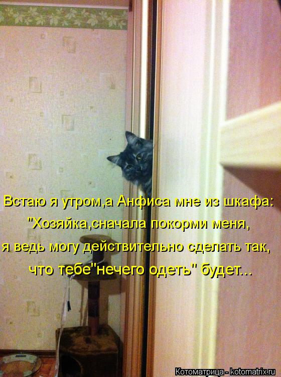 Встаю я утром,а Анфиса мне из шкафа: "Хозяйка,сначала покорми меня, я ведь могу действительно сделать... Котоматрица: Встаю я утром,а Анфиса мне из шкафа: "Хозяйка,сначала покорми меня, я ведь могу действительно сделать так, что тебе"нечего одеть" будет...