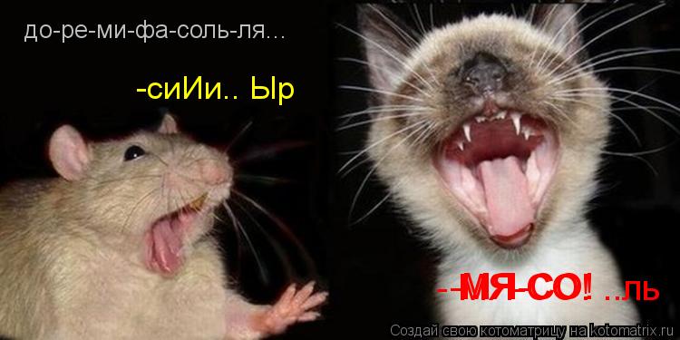 до-ре-ми-фа-соль-ля... -сиИи.. Ыр -МЯ-СО! - МЯ-СО! ..ль... Котоматрица: до-ре-ми-фа-соль-ля... -сиИи.. Ыр -МЯ-СО! - МЯ-СО! ..ль