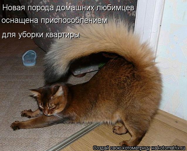 Новая порода домашних любимцев оснащена приспособлением для уборки квартиры... Котоматрица: Новая порода домашних любимцев оснащена приспособлением для уборки квартиры