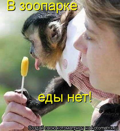 В зоопарке еды нет!... Котоматрица: В зоопарке еды нет!