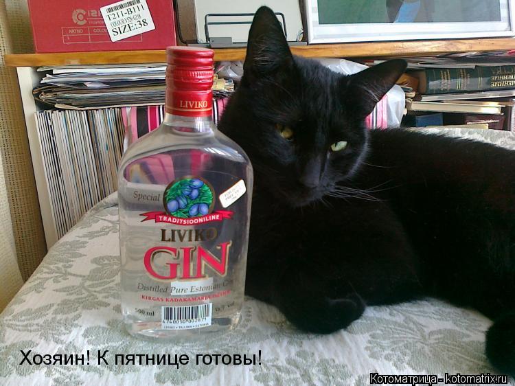 Хозяин! К пятнице готовы!... Котоматрица: Хозяин! К пятнице готовы!