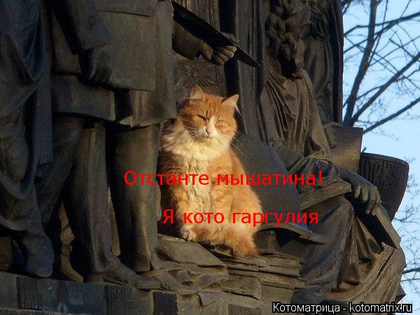 Отстанте мышатина! Я кото гаргулия... Котоматрица: Отстанте мышатина! Я кото гаргулия