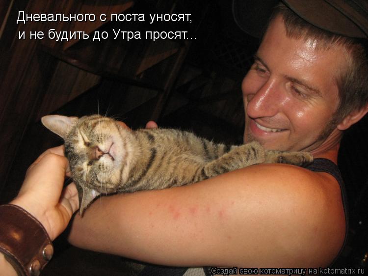 Дневального с поста уносят, и не будить до Утра просят...... Котоматрица: Дневального с поста уносят, и не будить до Утра просят...