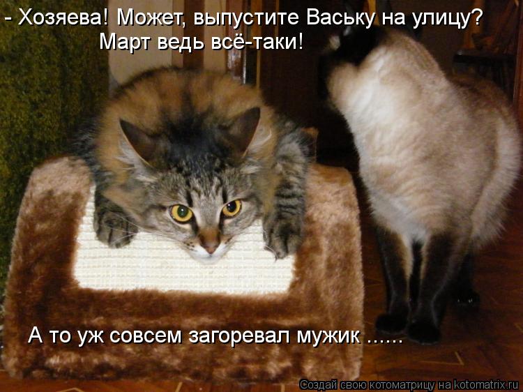 Котоматрица: - Хозяева! Может, выпустите Ваську на улицу? Март ведь всё-таки! А то уж совсем загоревал мужик ......