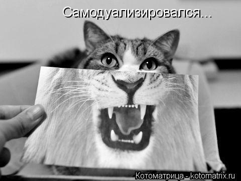 Самодуализировался...... Котоматрица: Самодуализировался...