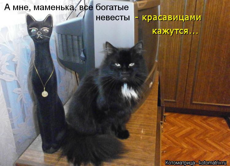 А мне, маменька, все богатые невесты - красавицами кажутся...... Котоматрица: А мне, маменька, все богатые невесты - красавицами кажутся...