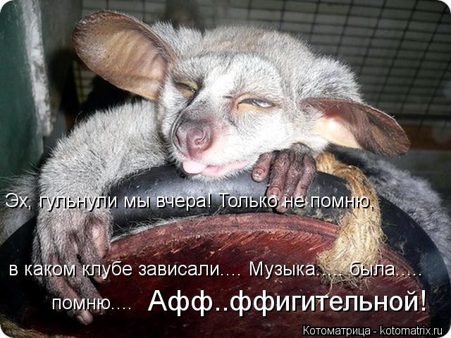 Эх, гульнули мы вчера! Только не помню, в каком клубе зависали.... Музыка..... была..... Афф..ффигит... Котоматрица: Эх, гульнули мы вчера! Только не помню, в каком клубе зависали.... Музыка..... была..... Афф..ффигительной! помню....